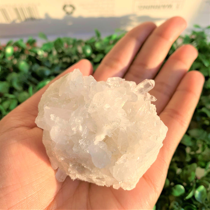 Clear Quartz Cluster